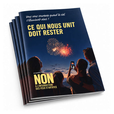 Kampagnenflyer «Nein zum Feuerwerksverbot» – A5